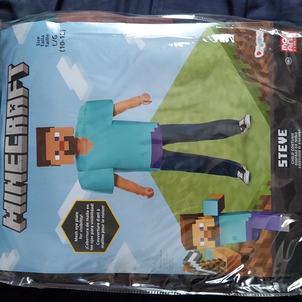 Minecraft Steve Child Costume